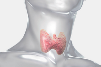 甲状腺/乳腺外科